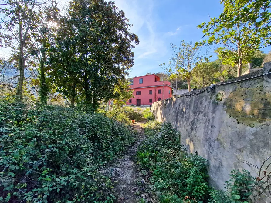 Immagine 1 di Rustico / casale in vendita  in Contrada Pigotta a Ragusa