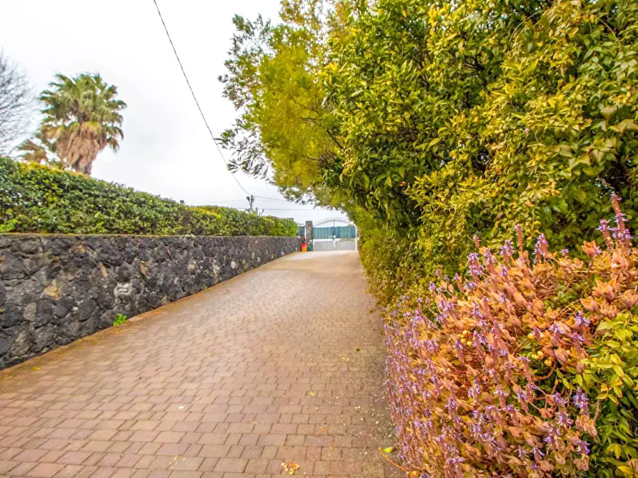 Immagine 19 di Villa in vendita  in via petrone a Viagrande