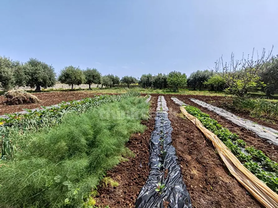 Immagine 1 di Terreno residenziale in vendita  in via Filicudi a Siracusa