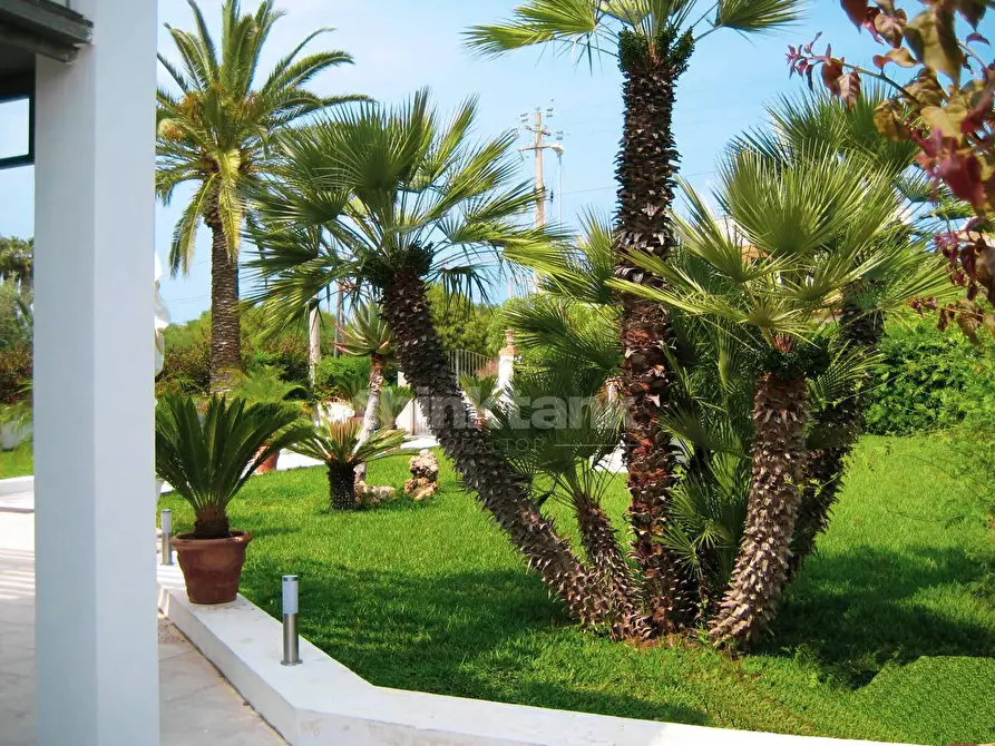 Immagine 22 di Villa in vendita  in str san lorenzo a Noto