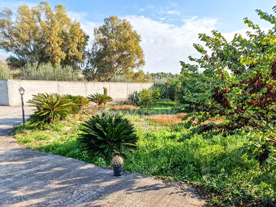 Immagine 9 di Rustico / casale in vendita  in Via Torrente Lavinaio a Viagrande