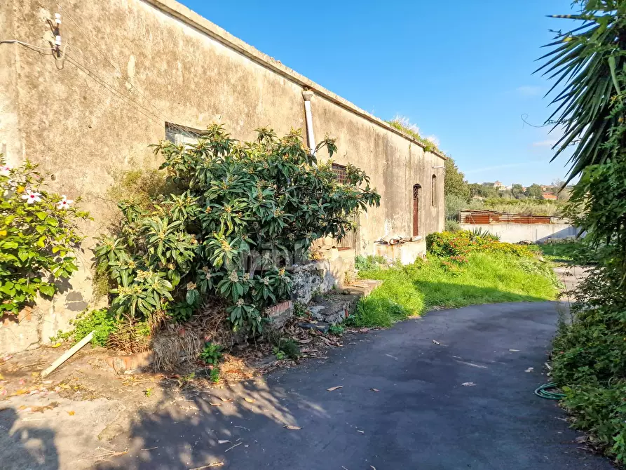 Immagine 23 di Rustico / casale in vendita  in Via Torrente Lavinaio a Viagrande