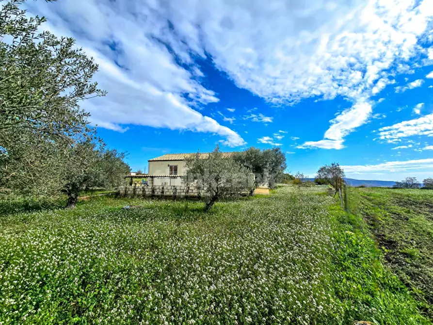 Immagine 1 di Villa in vendita  in via san Giacomo a Modica