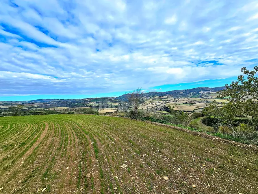 Immagine 22 di Villa in vendita  in via san Giacomo a Modica