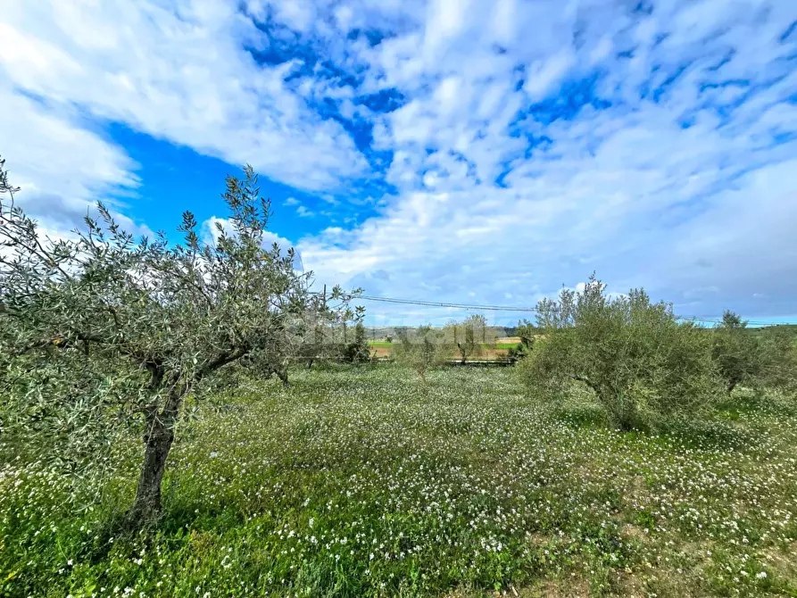Immagine 19 di Villa in vendita  in via san Giacomo a Modica
