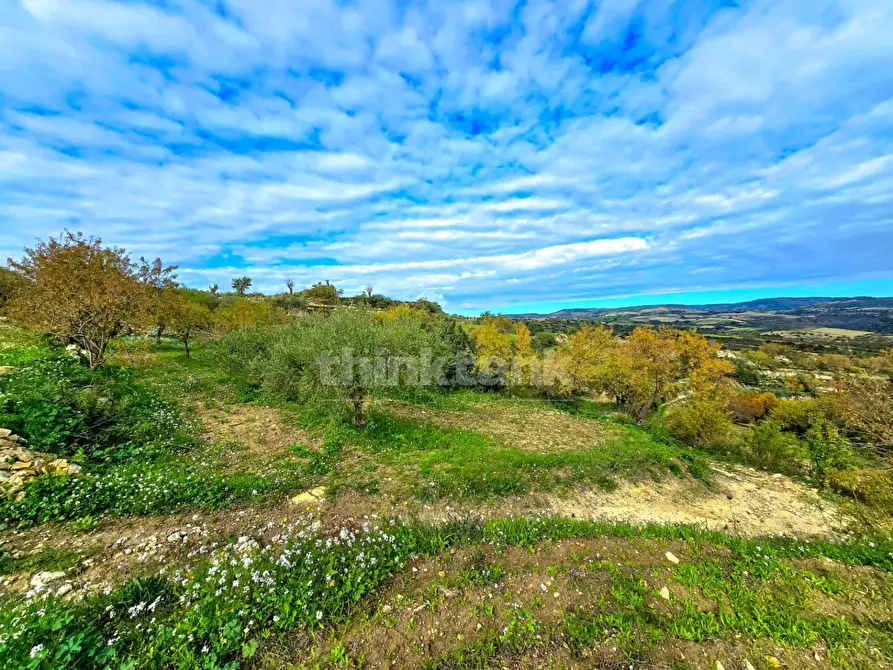 Immagine 23 di Villa in vendita  in via san Giacomo a Modica