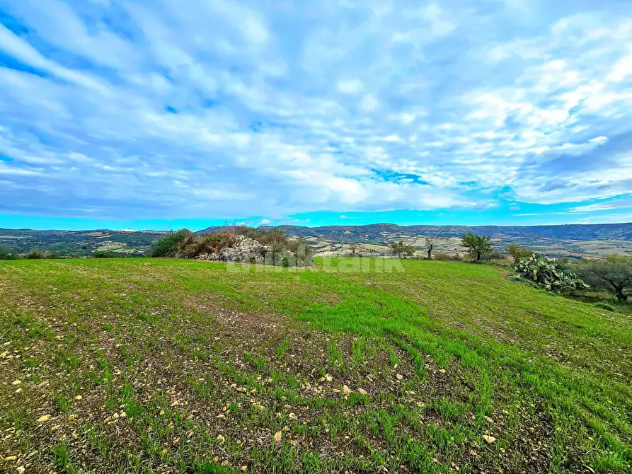 Immagine 21 di Villa in vendita  in via san Giacomo a Modica