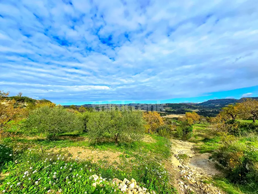 Immagine 24 di Villa in vendita  in via san Giacomo a Modica