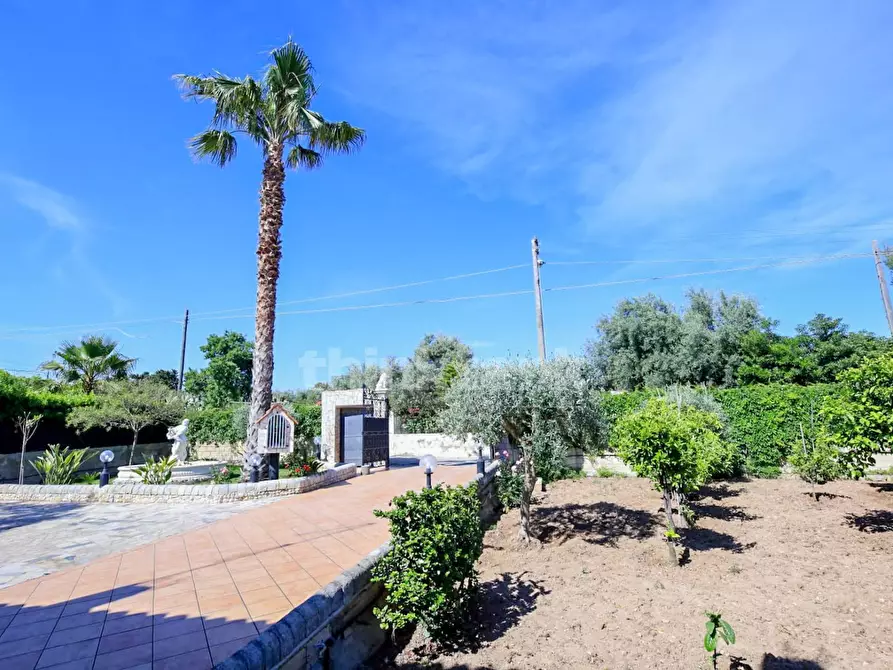 Immagine 5 di Villa in vendita  in via caponegro a Avola