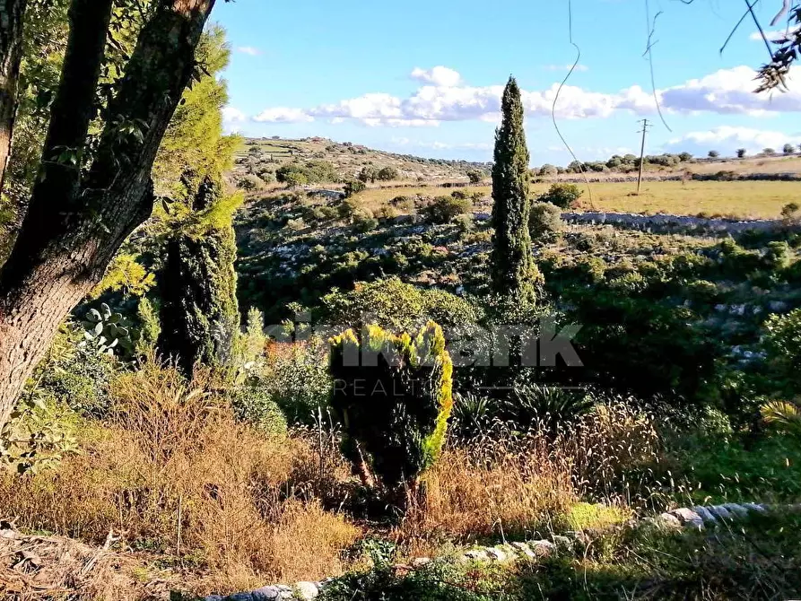 Immagine 29 di Villa in vendita  in contrada Calicantone Scalepiane a Modica