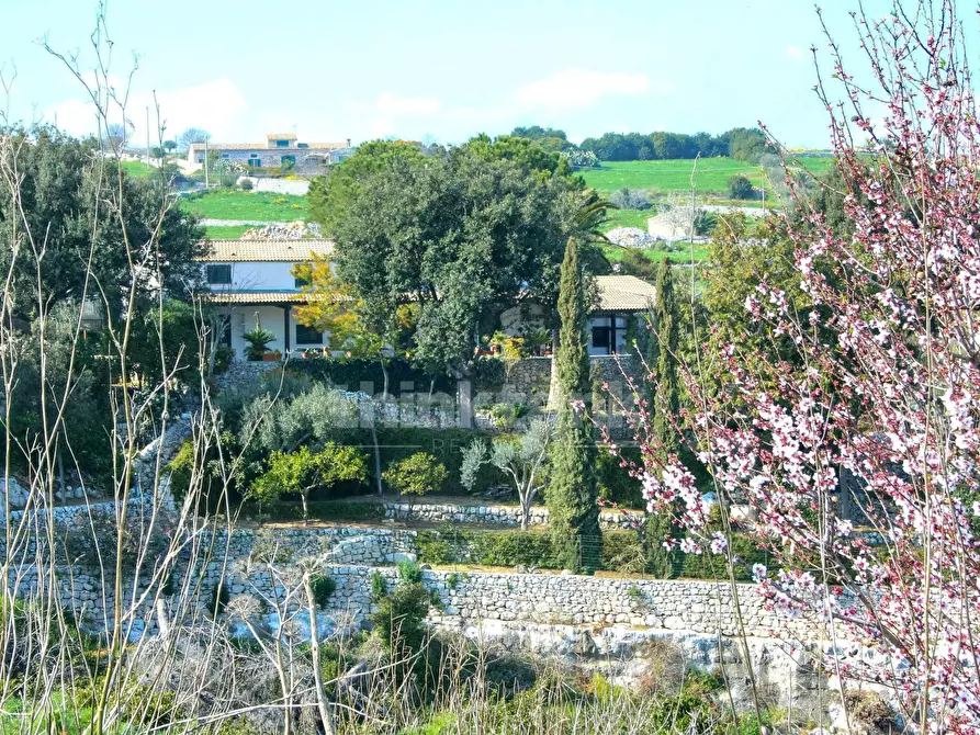 Immagine 28 di Villa in vendita  in contrada Calicantone Scalepiane a Modica