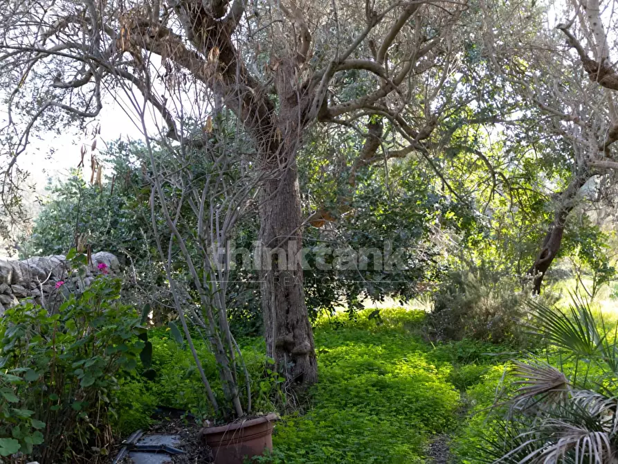 Immagine 11 di Rustico / casale in vendita  in Strada provinciale 23 a Modica