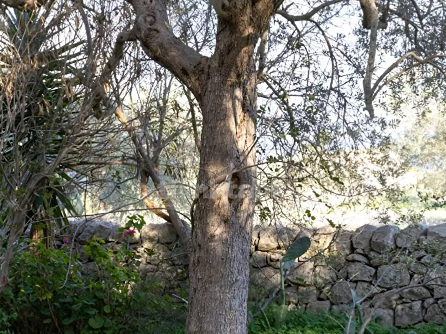 Immagine 14 di Rustico / casale in vendita  in Strada provinciale 23 a Modica