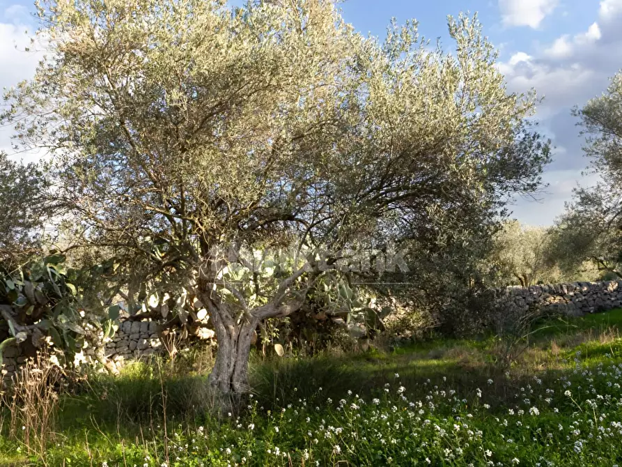 Immagine 4 di Rustico / casale in vendita  in Strada provinciale 23 a Modica