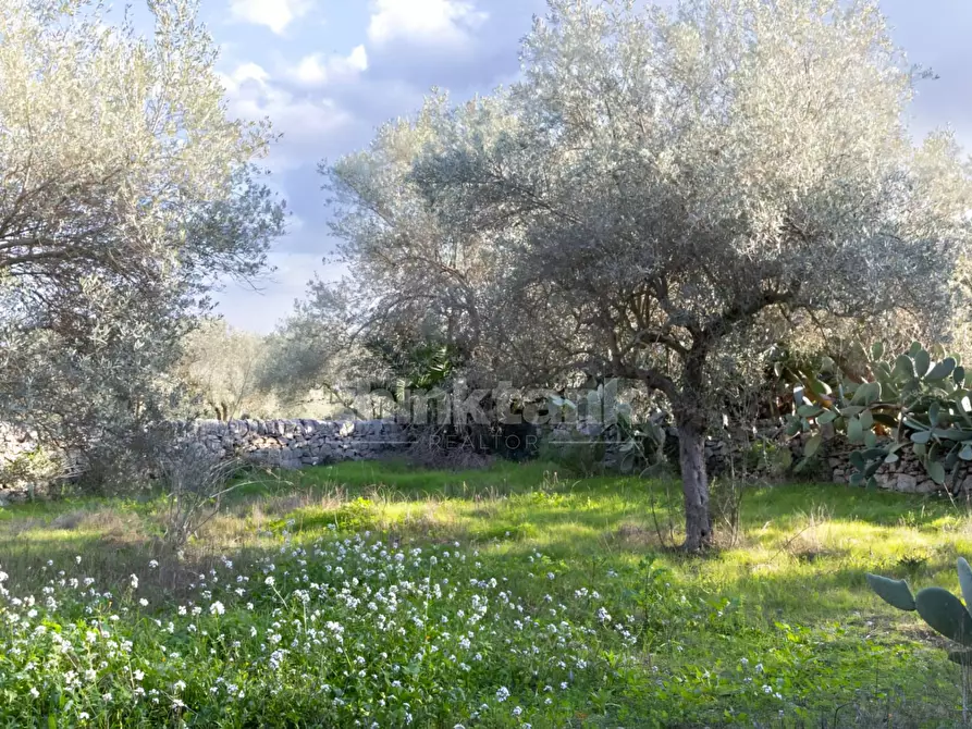 Immagine 5 di Rustico / casale in vendita  in Strada provinciale 23 a Modica