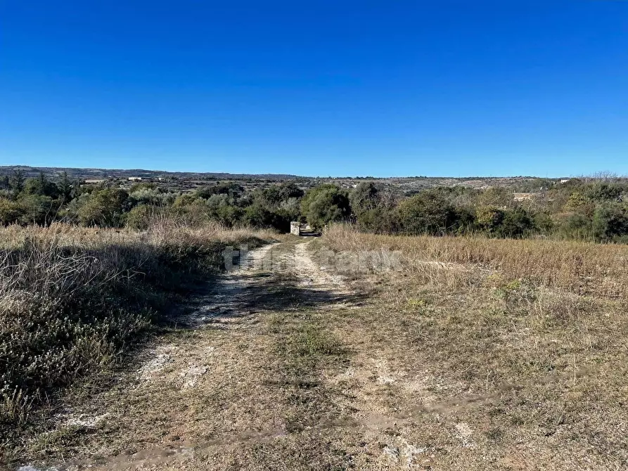 Immagine 19 di Rustico / casale in vendita  in sp 287 a Noto