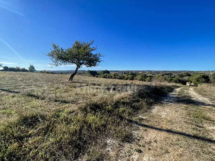 Immagine 21 di Rustico / casale in vendita  in sp 287 a Noto