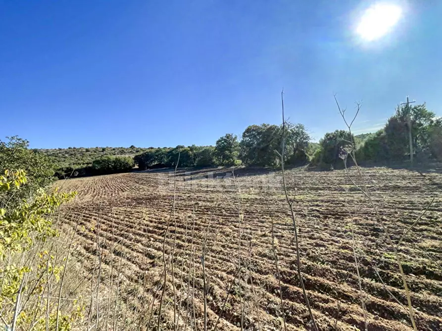 Immagine 26 di Rustico / casale in vendita  in sp 287 a Noto