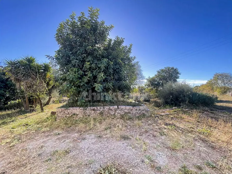 Immagine 30 di Rustico / casale in vendita  in sp 287 a Noto