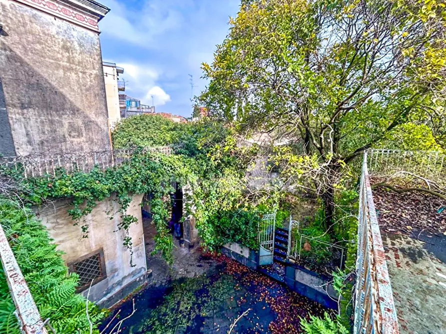 Immagine 24 di Palazzo in vendita  in via etnea a Mascalucia