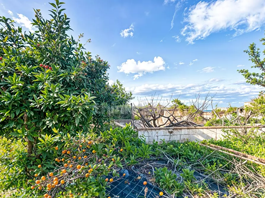 Immagine 8 di Villa in vendita  in baia del silenzio a Augusta