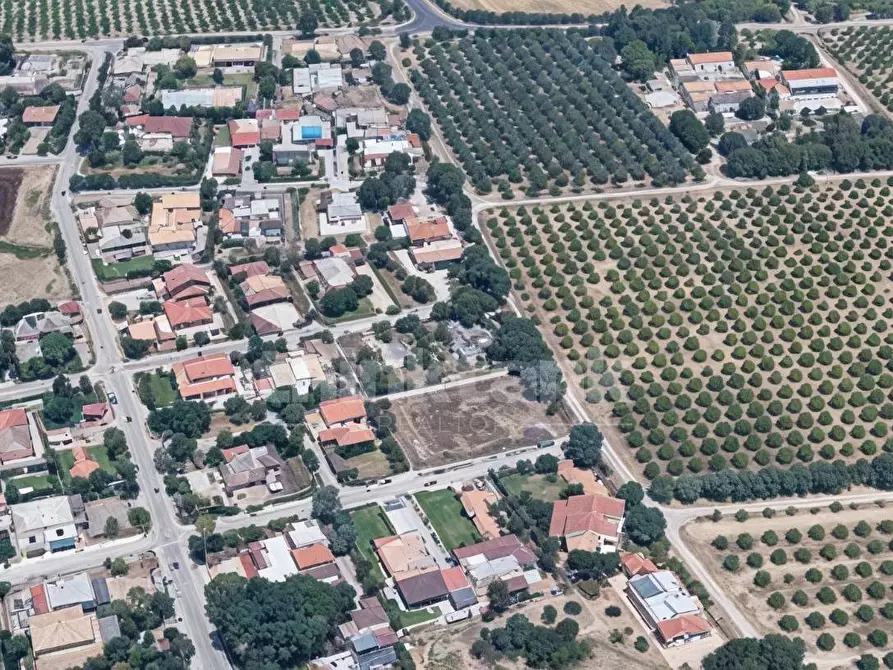 Immagine 2 di Terreno agricolo in vendita  in via pantelleria a Siracusa