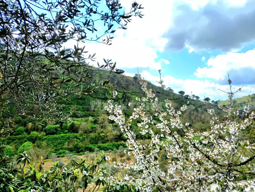 Immagine 29 di Villa in affitto  in Contrada Casale a Piazza Armerina