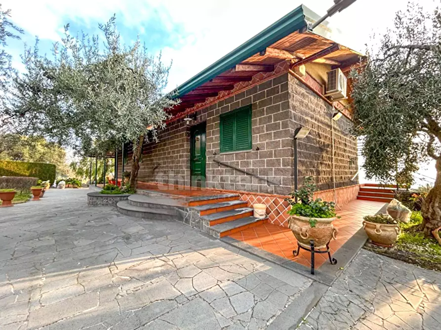 Immagine 21 di Villa in vendita  in crovacchi a Santa Maria Di Licodia