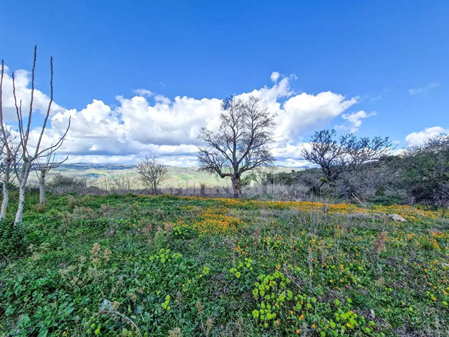 Immagine 8 di Rustico / casale in vendita  in contrada pacinosi a Nissoria