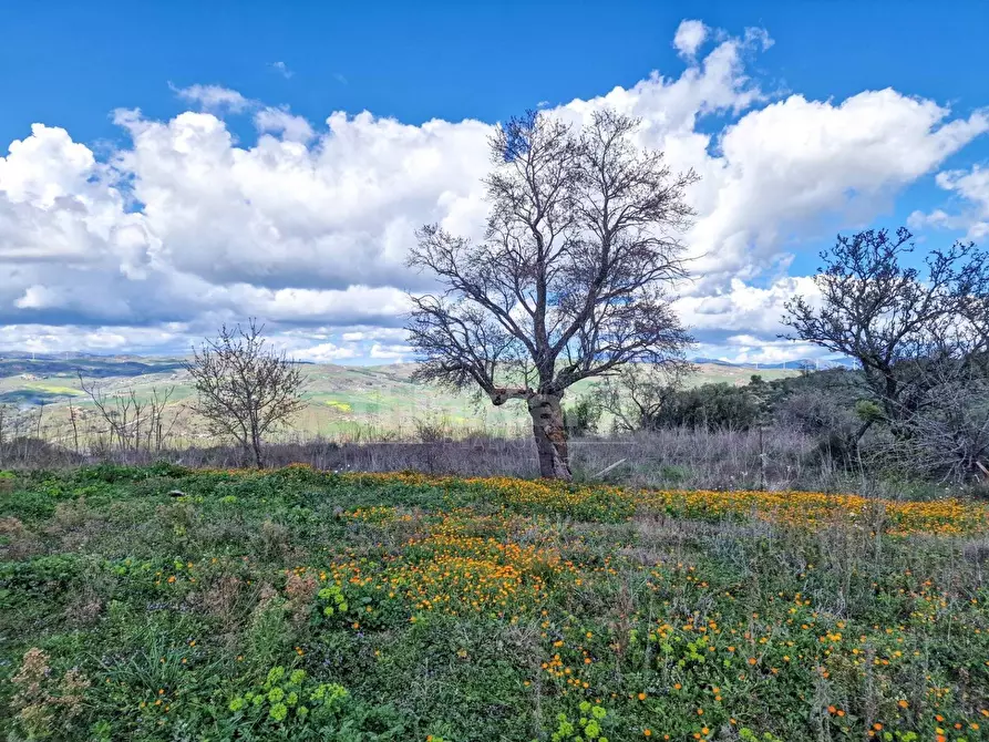 Immagine 20 di Rustico / casale in vendita  in contrada pacinosi a Nissoria