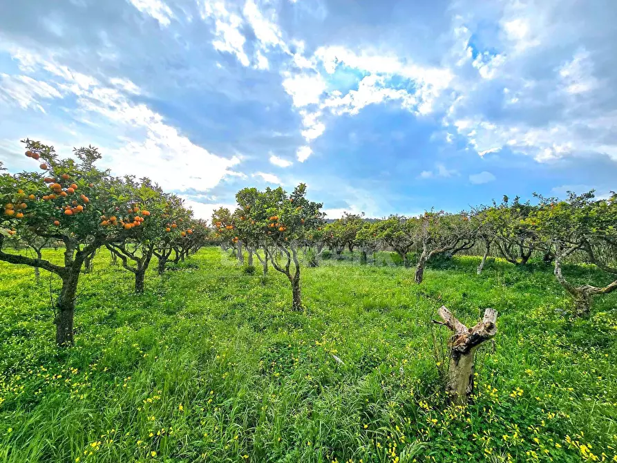 Immagine 16 di Rustico / casale in vendita  in Strada per Vittoria a Vittoria