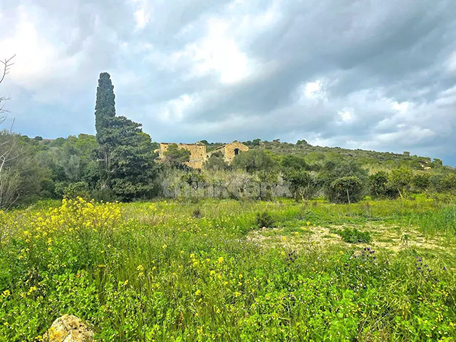 Immagine 17 di Rustico / casale in vendita  in Strada per Vittoria a Vittoria