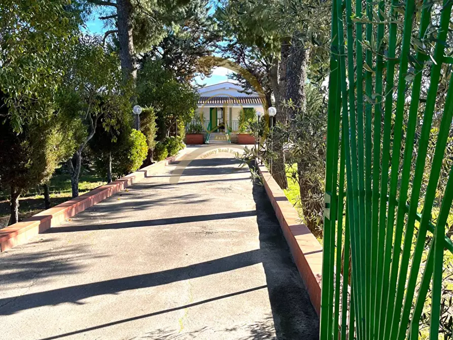 Immagine 3 di Villa in vendita  in Contrada la Spineta a Andria