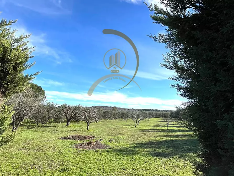 Immagine 20 di Villa in vendita  in Contrada la Spineta a Andria