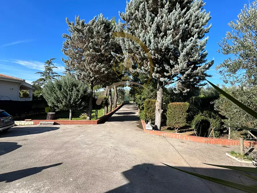 Immagine 24 di Villa in vendita  in Contrada la Spineta a Andria