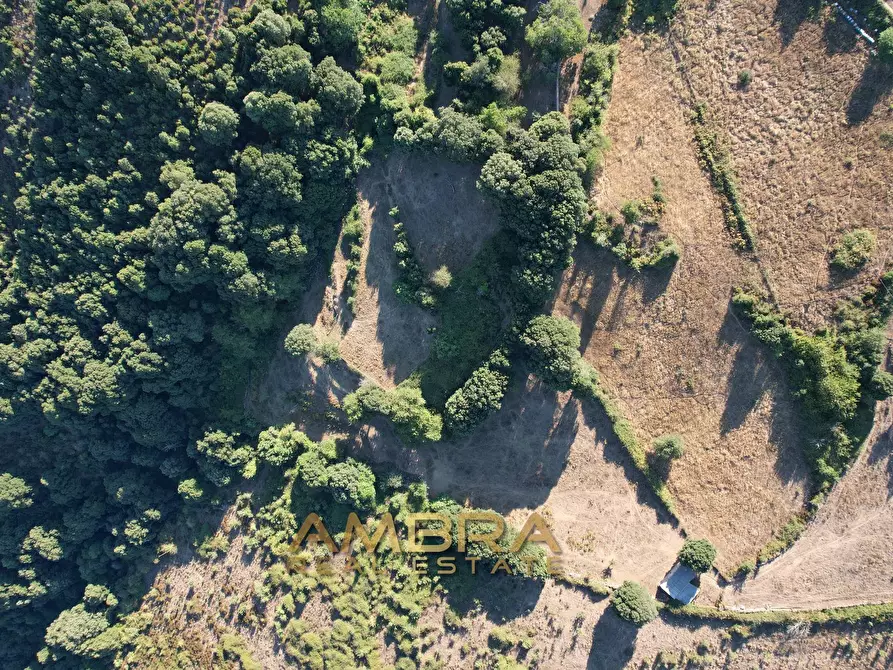 Immagine 3 di Rustico / casale in vendita  a Oschiri