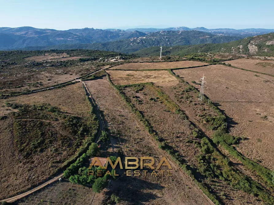 Immagine 4 di Rustico / casale in vendita  a Oschiri