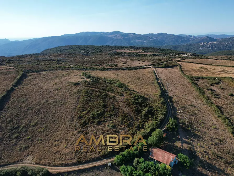 Immagine 5 di Rustico / casale in vendita  a Oschiri