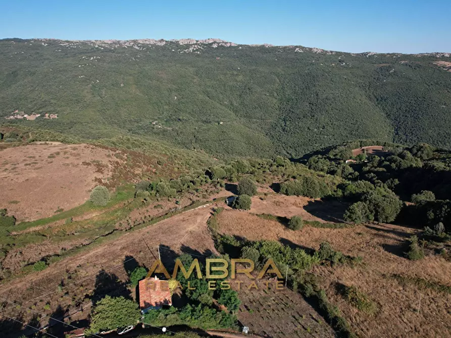 Immagine 6 di Rustico / casale in vendita  a Oschiri