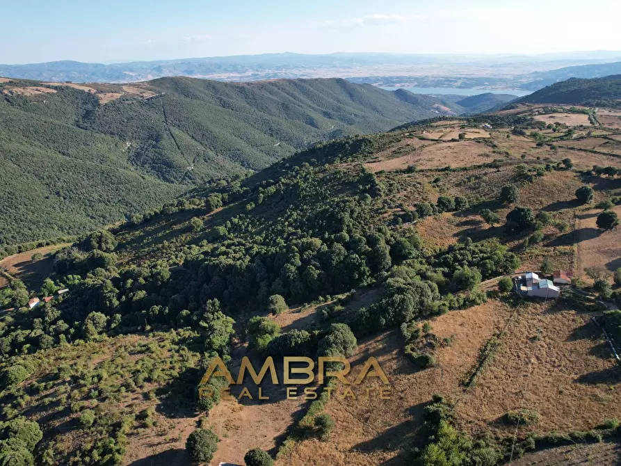 Immagine 7 di Rustico / casale in vendita  a Oschiri