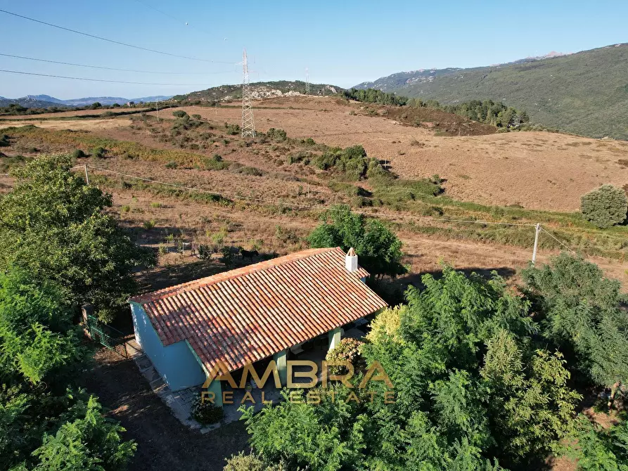 Immagine 2 di Rustico / casale in vendita  a Oschiri