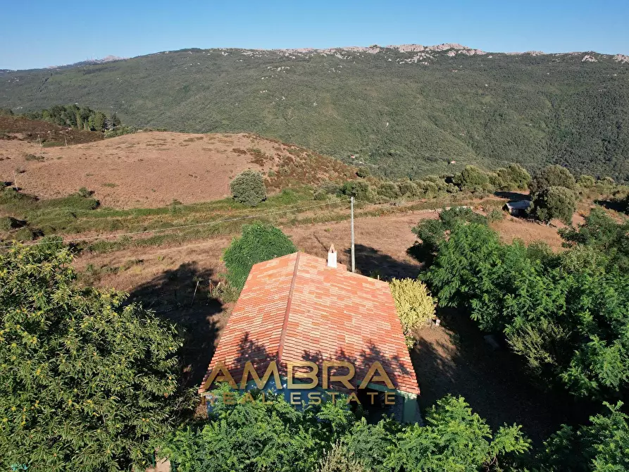 Immagine 8 di Rustico / casale in vendita  a Oschiri