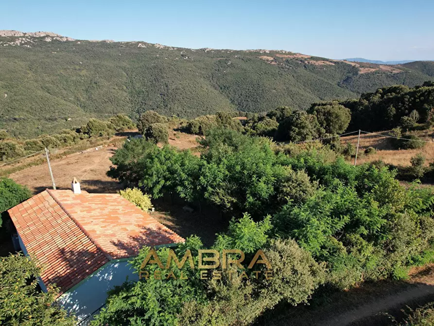 Immagine 9 di Rustico / casale in vendita  a Oschiri