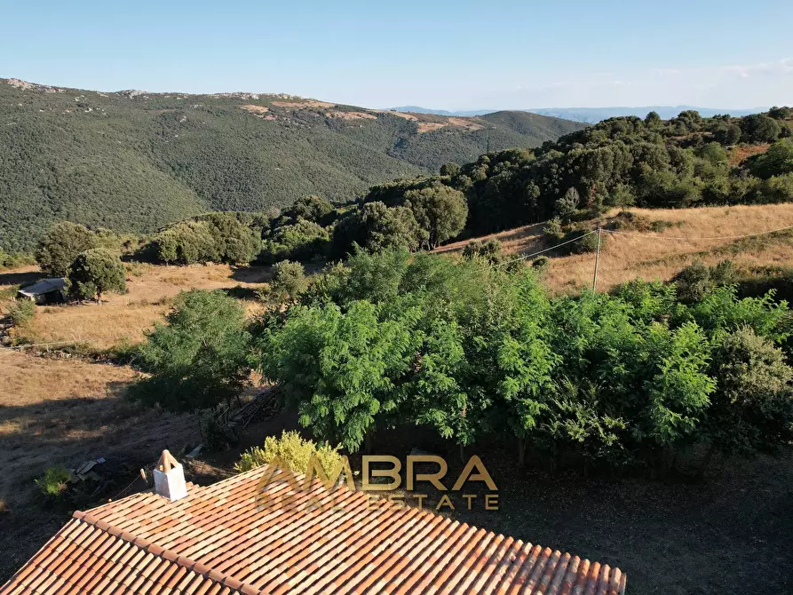 Immagine 10 di Rustico / casale in vendita  a Oschiri