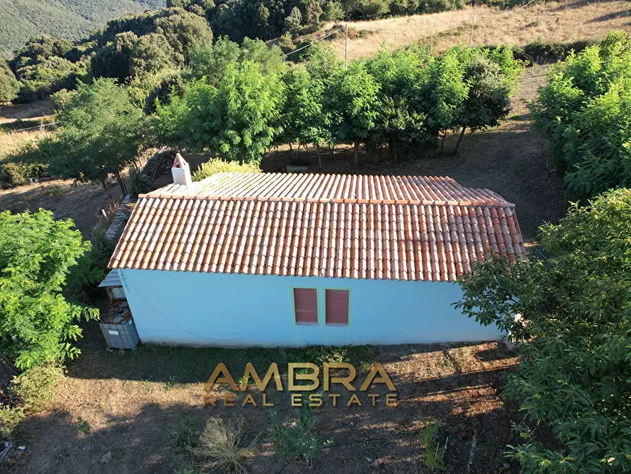 Immagine 11 di Rustico / casale in vendita  a Oschiri