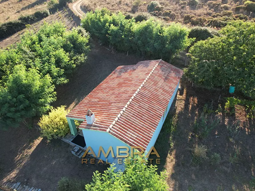 Immagine 12 di Rustico / casale in vendita  a Oschiri