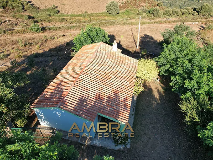 Immagine 13 di Rustico / casale in vendita  a Oschiri