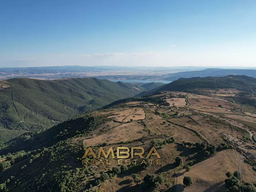 Immagine 14 di Rustico / casale in vendita  a Oschiri