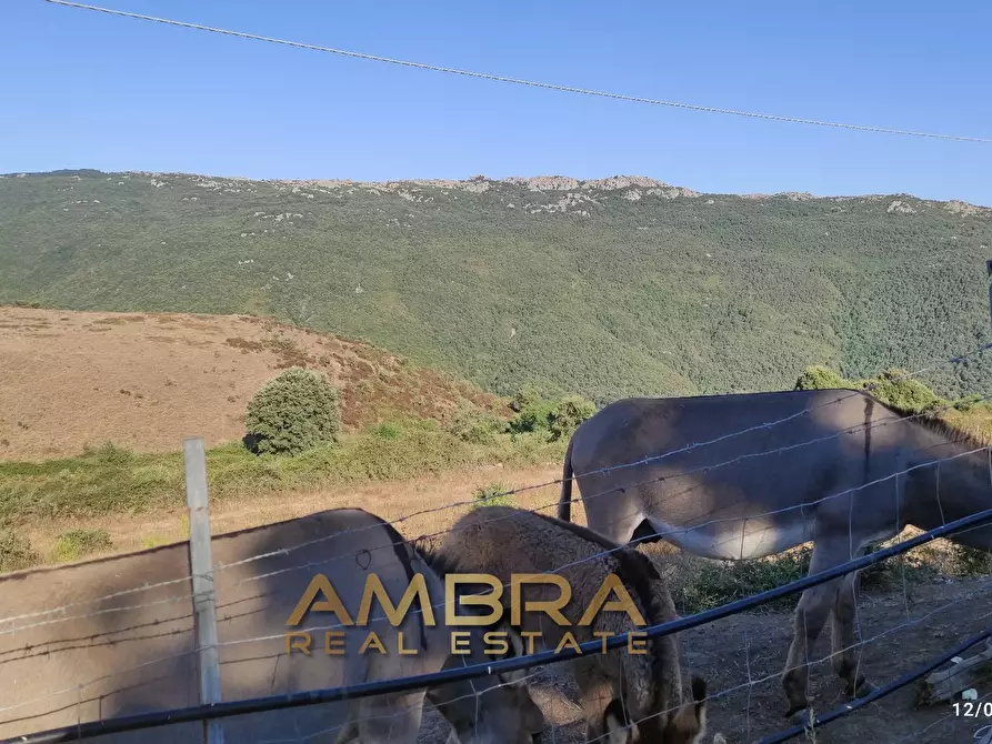 Immagine 24 di Rustico / casale in vendita  a Oschiri