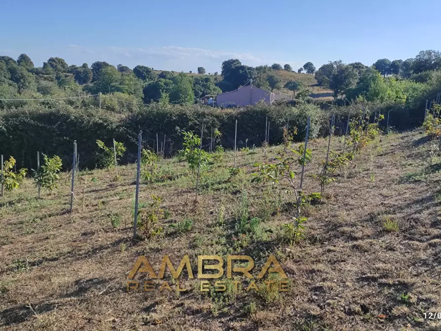 Immagine 26 di Rustico / casale in vendita  a Oschiri